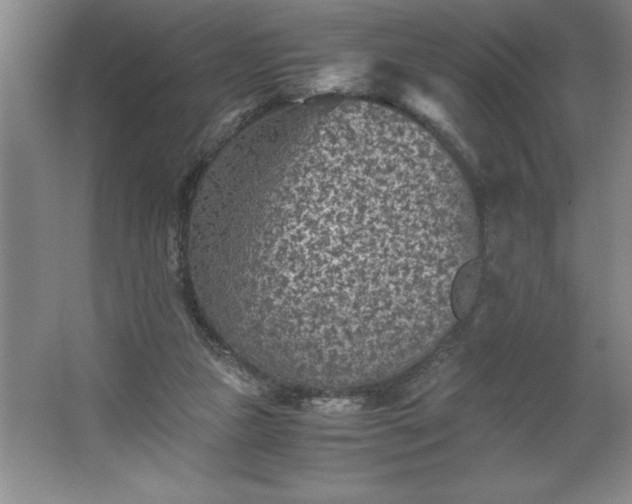 X0000062630161200512281604