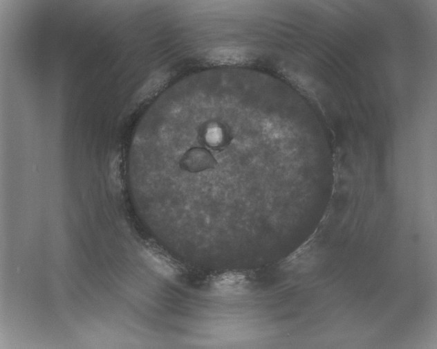 X0000062630162200512281604