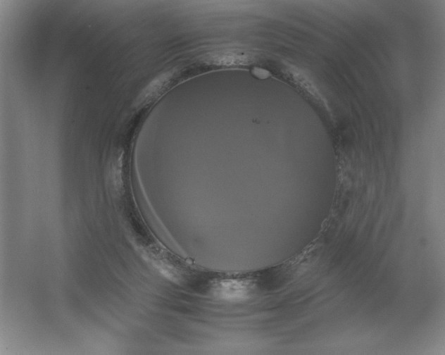 X0000062630163200512281604