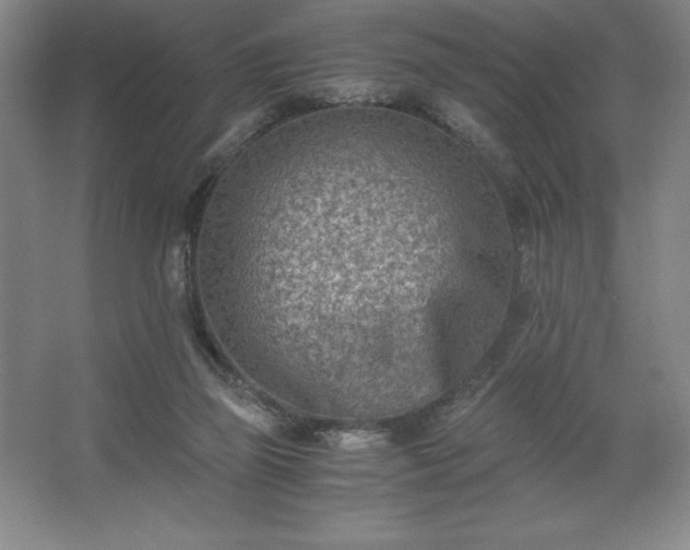 X0000062630165200512281604