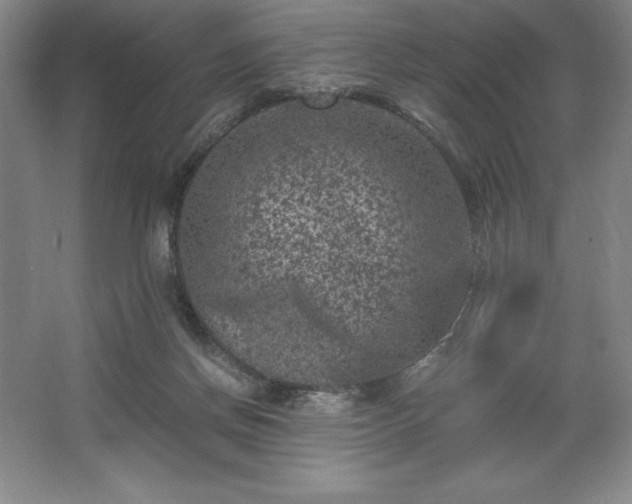 X0000062630166200512281604