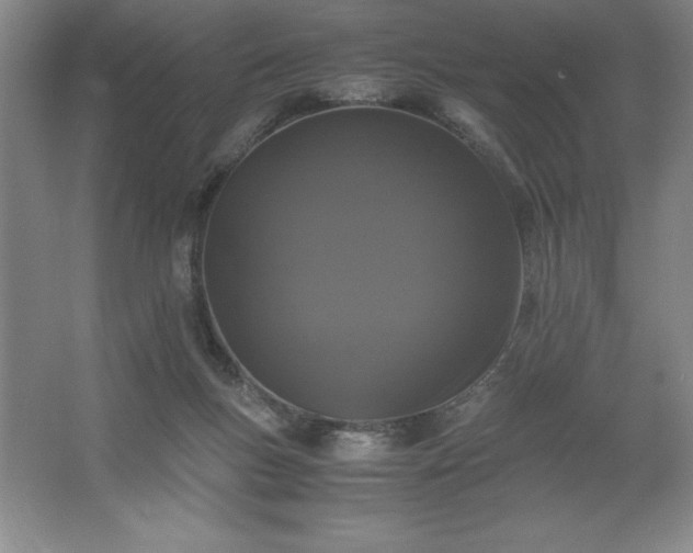 X0000062630167200512281604