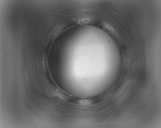 X0000062630169200512281604