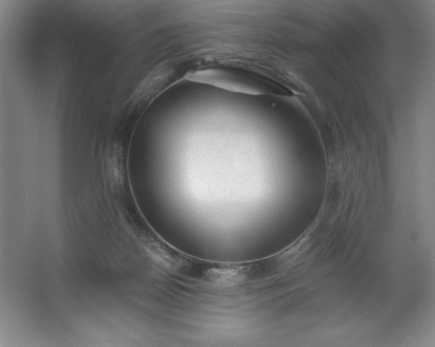 X0000062630170200512281604