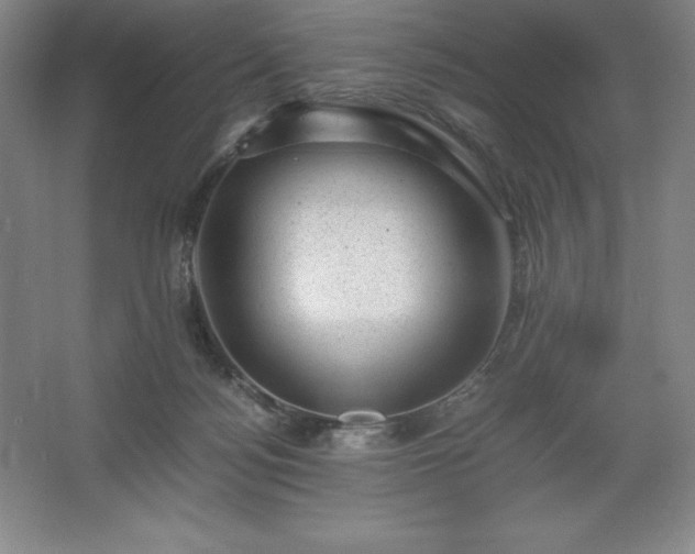 X0000062630172200512281604