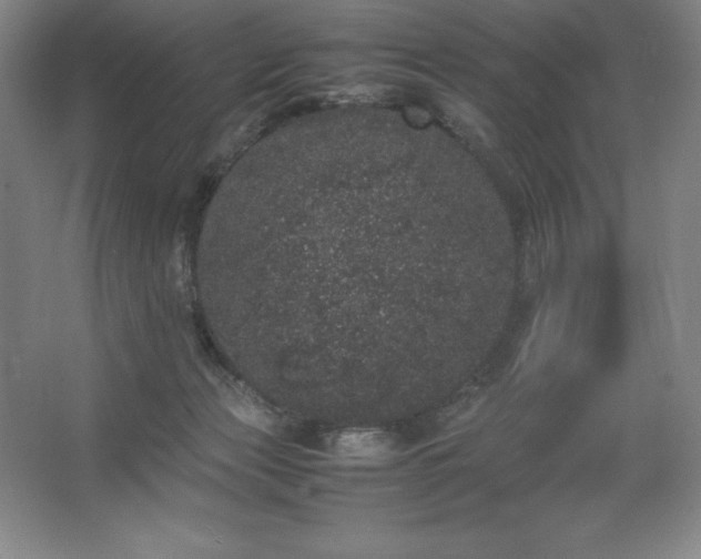 X0000062630173200512281604