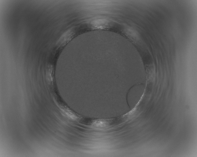 X0000062630174200512281604