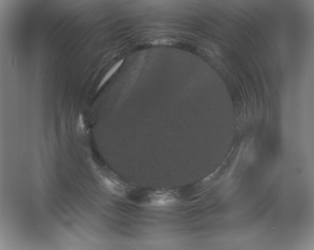 X0000062630175200512281605