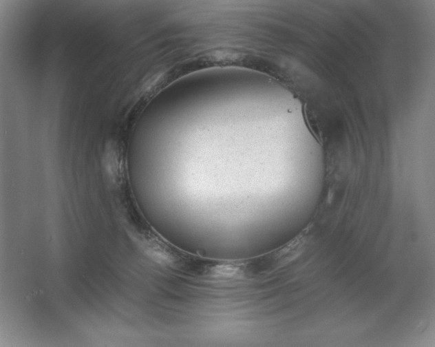 X0000062630176200512281605