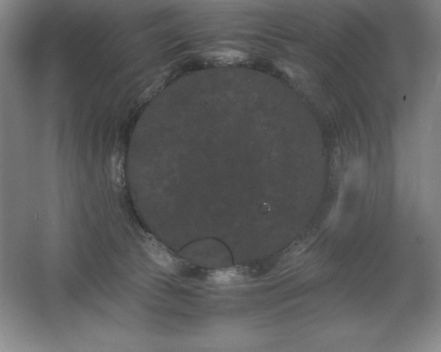 X0000062630177200512281605