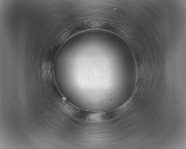 X0000062630178200512281605