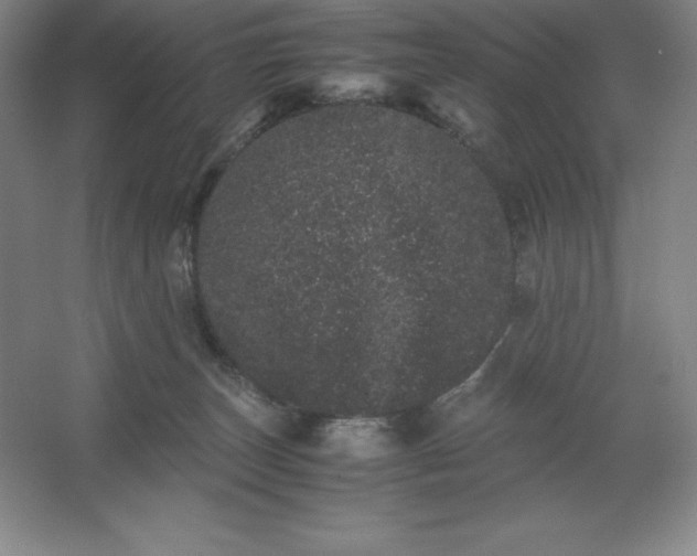 X0000062630179200512281605