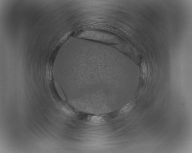 X0000062630180200512281605