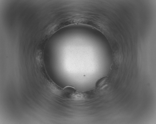 X0000062630181200512281605