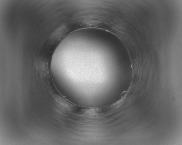 X0000062630182200512281605