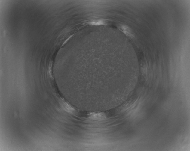 X0000062630185200512281605