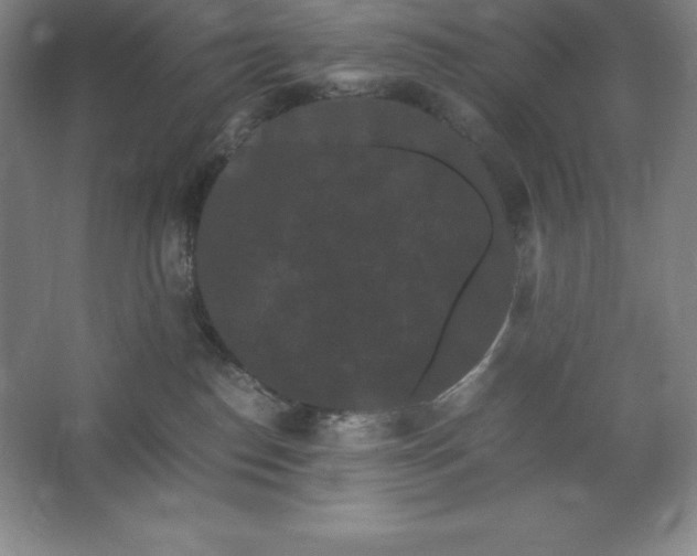 X0000062630186200512281605