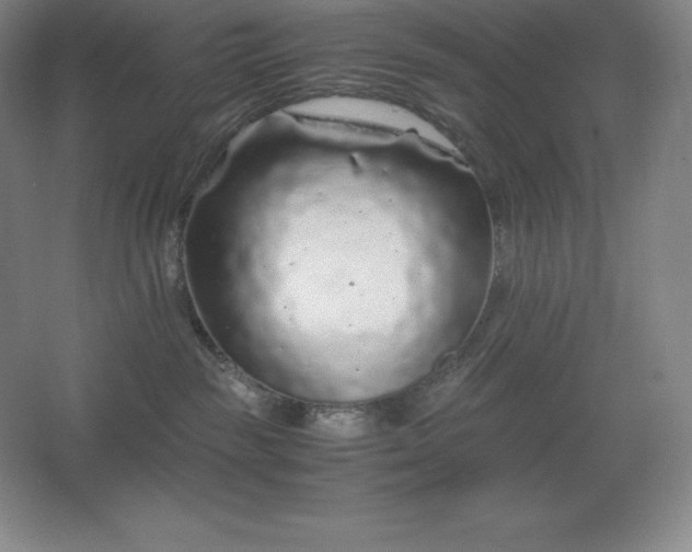 X0000062630189200512281605