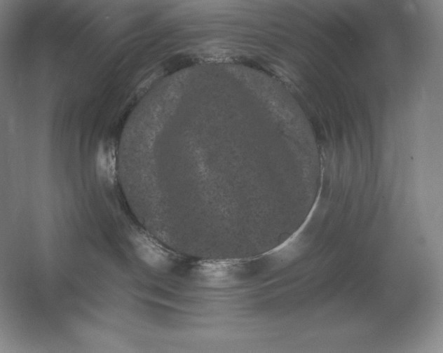 X0000062630190200512281605