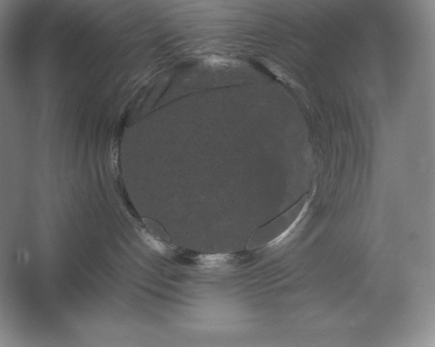 X0000062630192200512281605