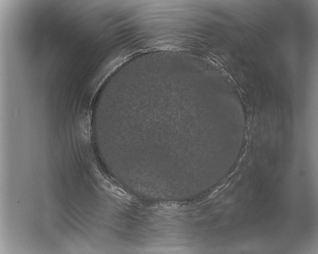 X0000062630194200512281604