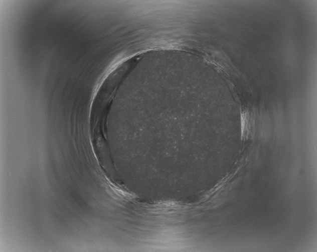 X0000062630195200512281604