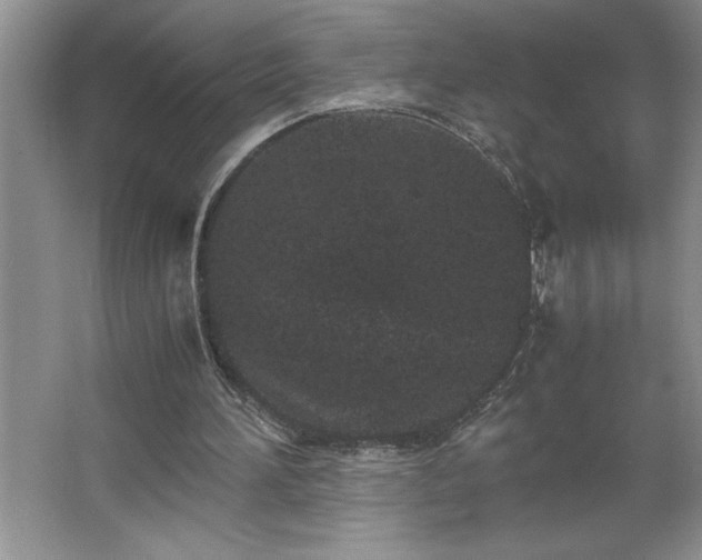 X0000062630196200512281604