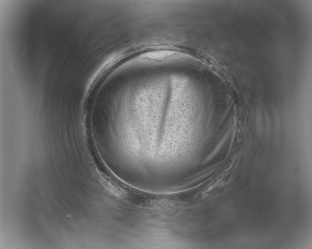 X0000062630197200512281604