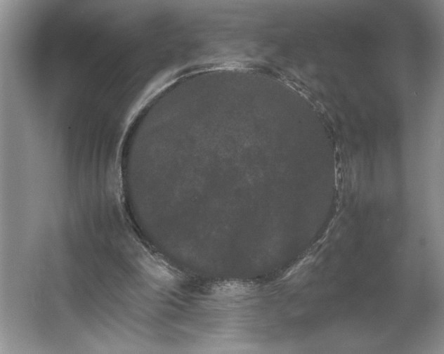 X0000062630198200512281604