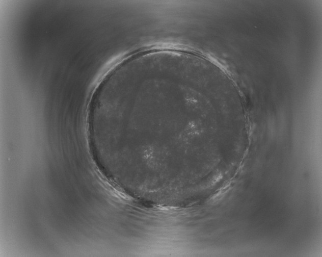 X0000062630199200512281604