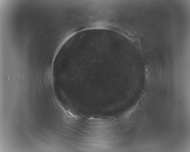 X0000062630200200512281604