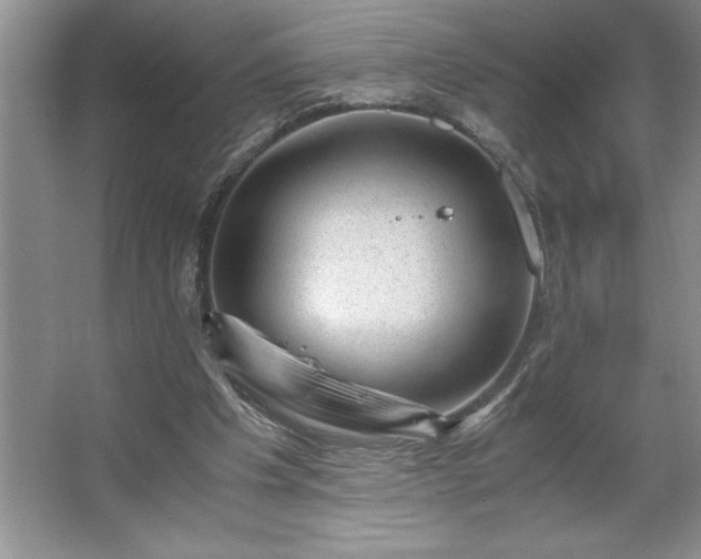 X0000062630201200512281604