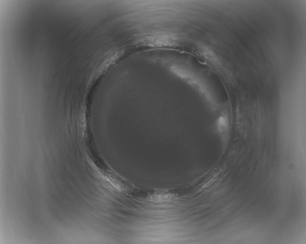 X0000062630202200512281604