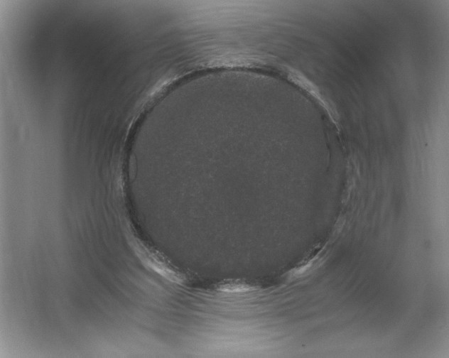 X0000062630203200512281604