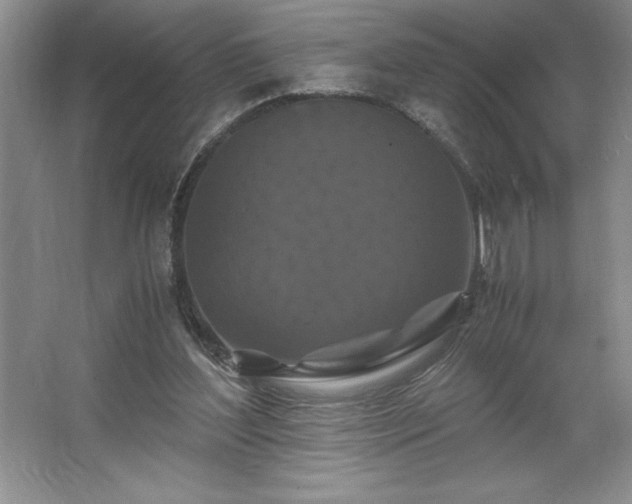 X0000062630204200512281604