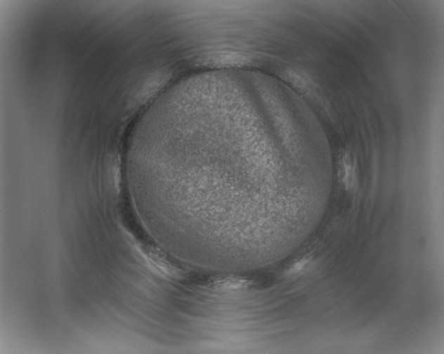 X0000062630206200512281604