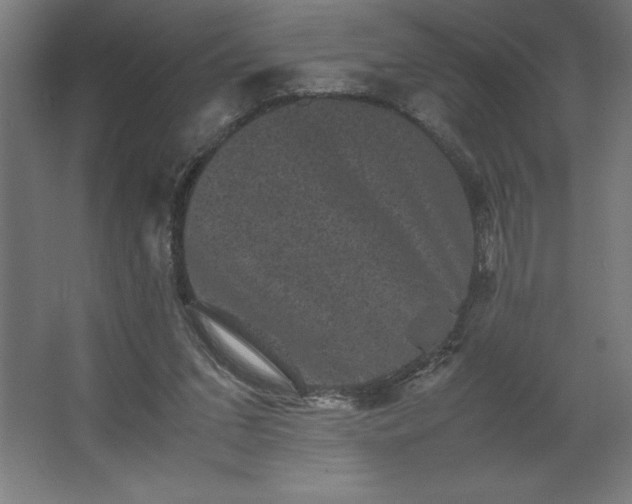 X0000062630207200512281604