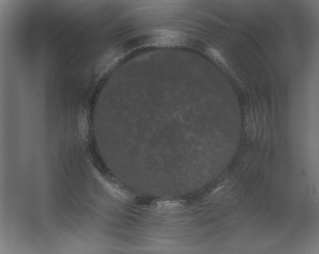 X0000062630208200512281604