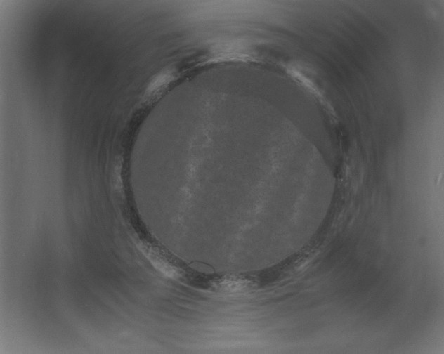 X0000062630209200512281604