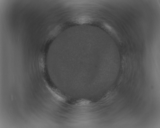 X0000062630210200512281604