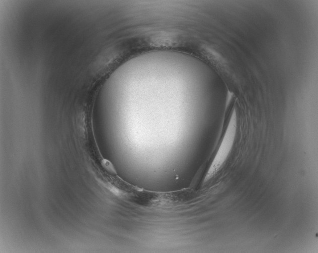 X0000062630211200512281604