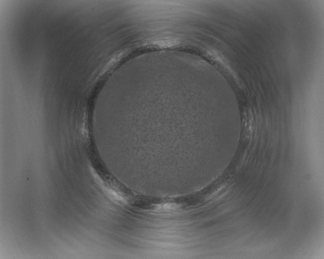 X0000062630212200512281604