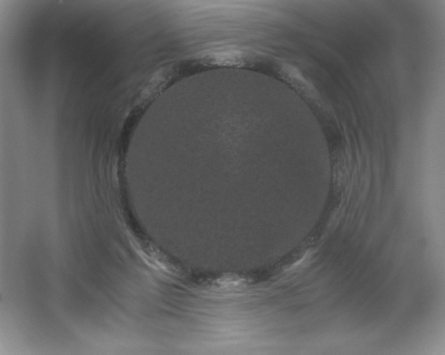 X0000062630213200512281604