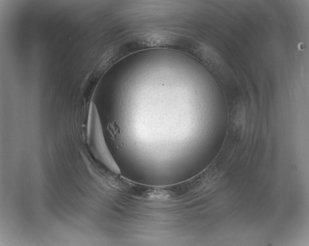 X0000062630214200512281604