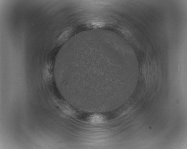 X0000062630218200512281604