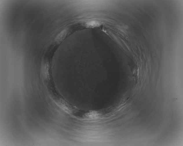 X0000062630219200512281604