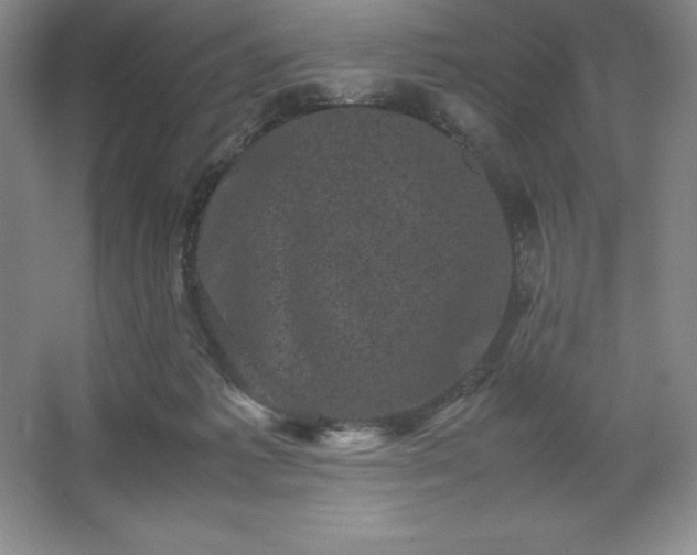 X0000062630221200512281604