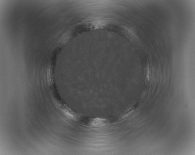 X0000062630222200512281603