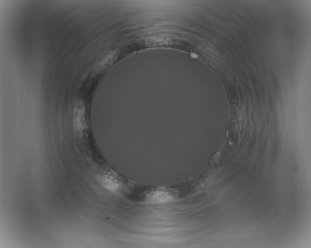 X0000062630224200512281603