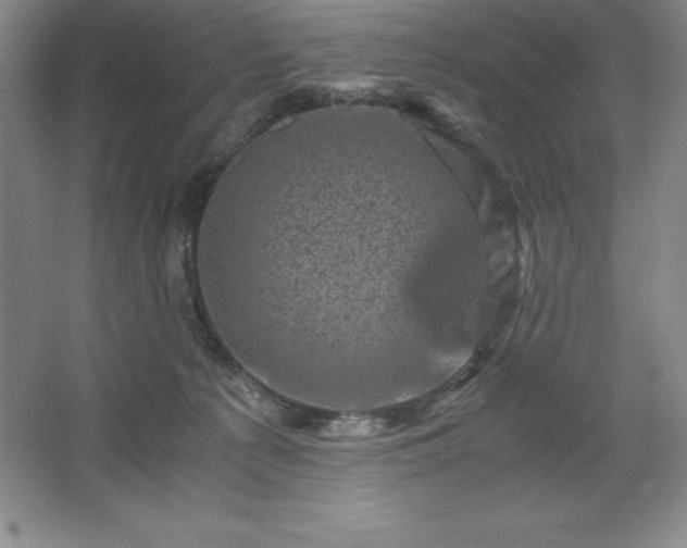 X0000062630225200512281603